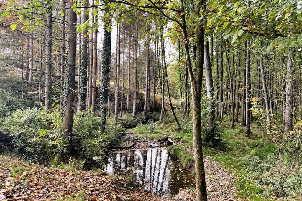 The Forest Retreat- Luxurioese Ferienwohnung Mit Privater Sauna Wermelskirchen Kültér fotó
